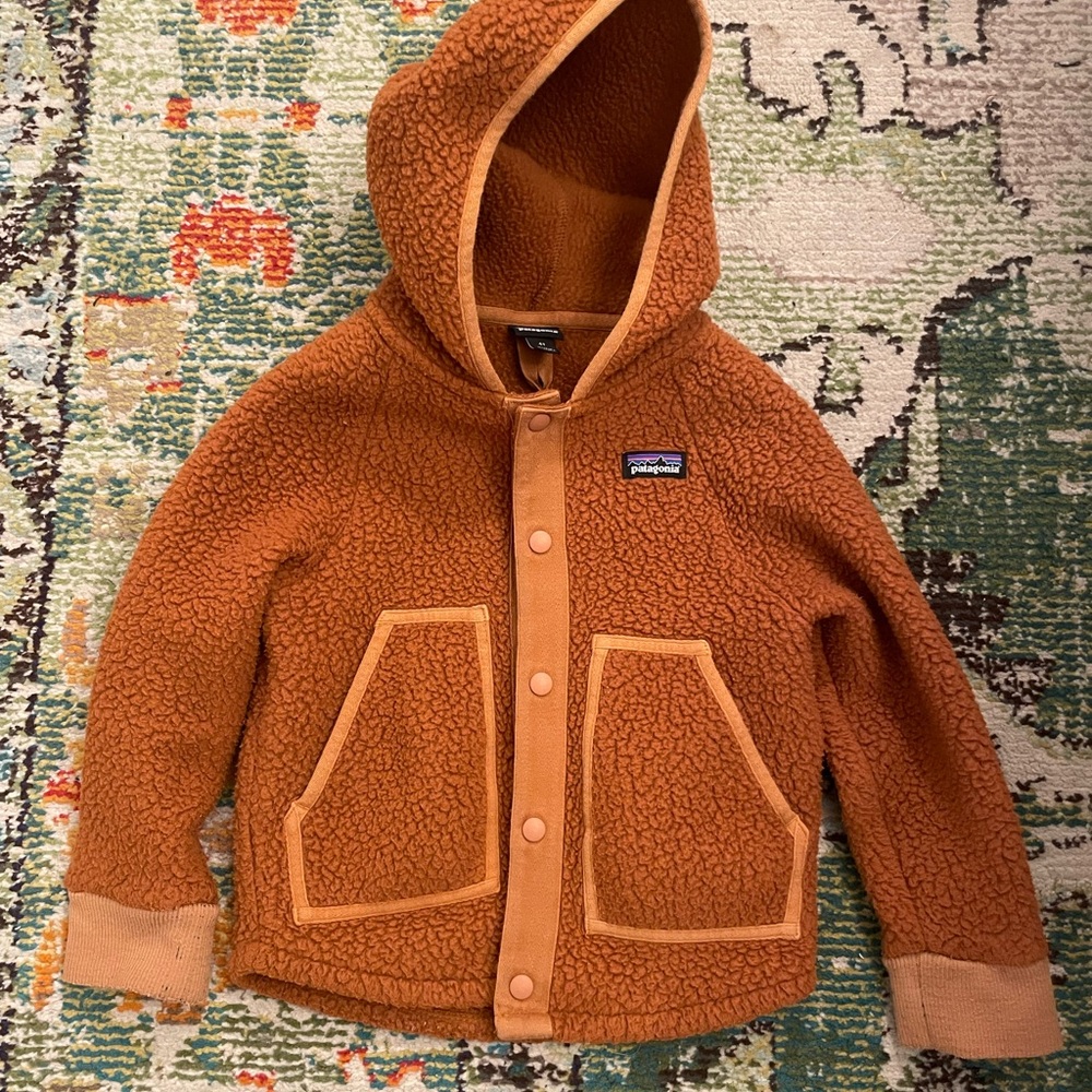Patagonia Retro pile Hooded Jacket